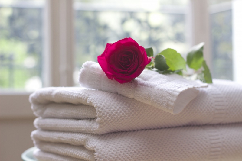 chambre-hote-LES FERRES-min_towel_rose_clean_care_salon_spa_white_bath-731641